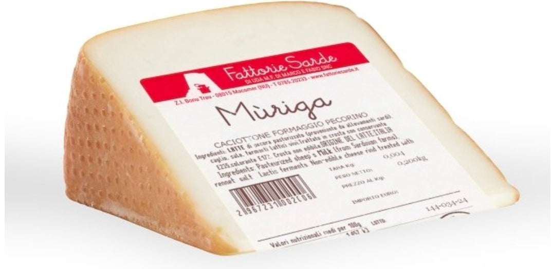 Caciottone Pecorino Fresco